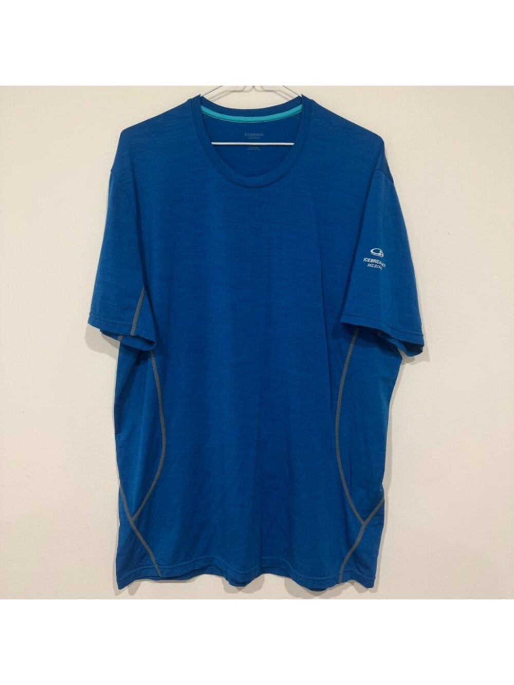 Icebreaker Short Sleeve Activewear Crewneck T-shirt L Blue Merino Wool Blend EUC